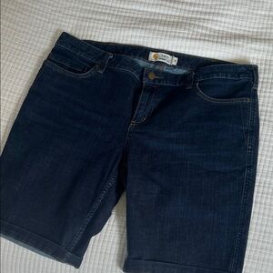 Carhartt Women's Blue Skinny Jeans